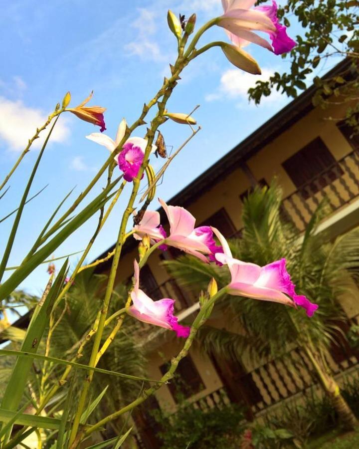 Hotel Pouso Bom Retiro Araquari Exterior foto